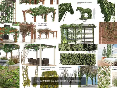 50 Climbing Ivy Collection