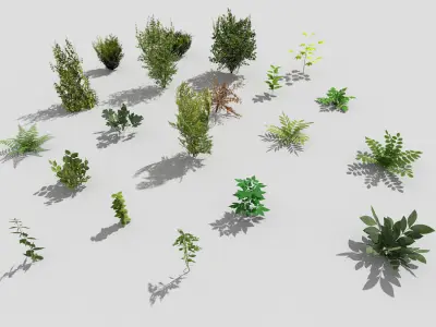 low poly foliage pack Low-poly 3D model