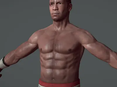 Boxer v1 Low-poly 3D model