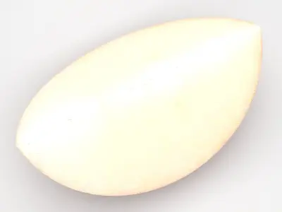 Sliced Apple 3D model