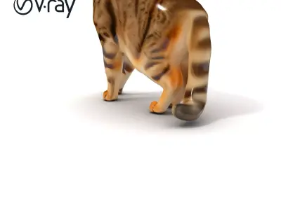 Realistic Cat Model Pack for Games and Animation Low-poly 3D model