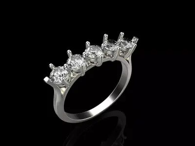 Ring z411  3D print model