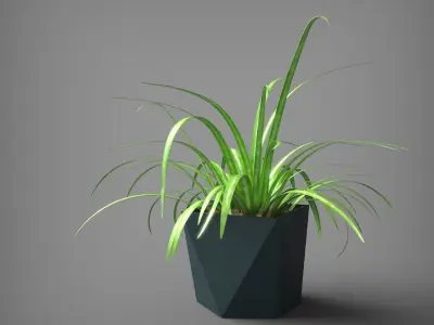 Interior Plant and Pot Chlorophytum  3D model