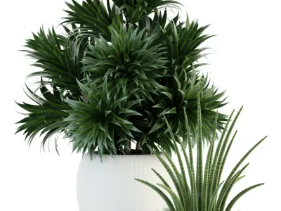 Plants collection 86 3D model