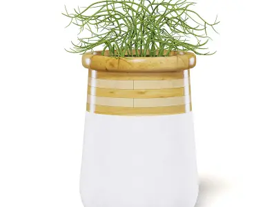 Plant 3D Model in Large Modern Pot 3D model