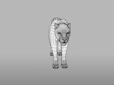 Leopard in wild 3D model