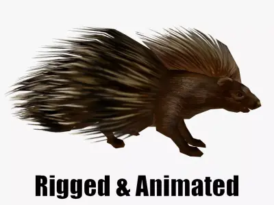 low-poly animated porcupine Low-poly 3D model