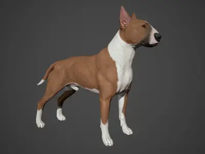 Bull Terrier Real-Time Low-poly 3D model