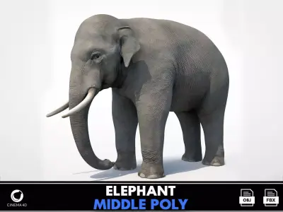 Asian Elephant Low-poly 3D model buy