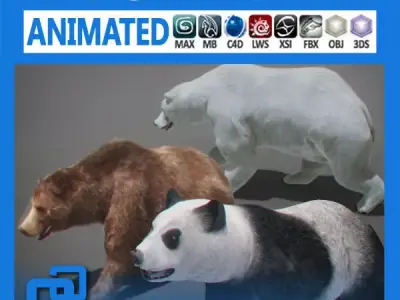 Pack - Bears Animated 3D model