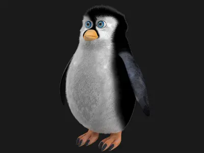 Realistic Penguin 3D Model with eyes Low-poly 3D model