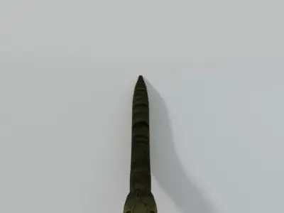 Snake Low-poly 3D model