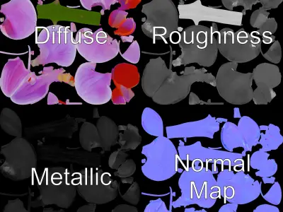 Orchid Flower D Model Pack Low-poly 3D model