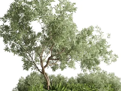 stand plant box collection Indoor plant 207 metal vase pot tree 3D model