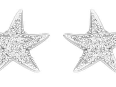 AV 308 White Diamond Ladies Star Shape Fashion Stud Earrings 3D print model