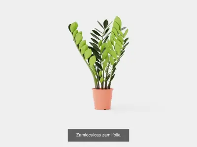 Collection of Houseplants - 8 Models