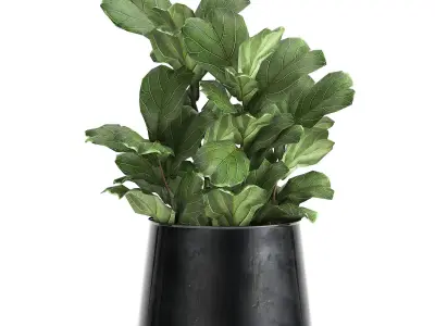 Houseplants in a pot for the interior 869 3D model