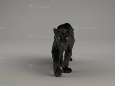Black Jaguar 3D Blender 3D model