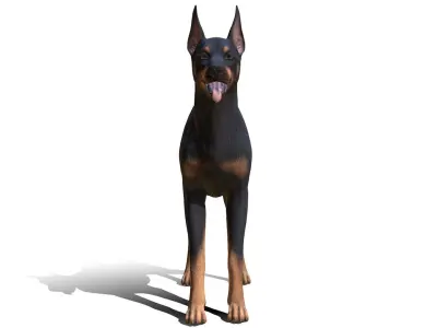 Dog - Doberman Low-poly 3D model