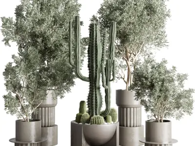 collection indoor plant and cactus 237 concrete dirt vase 3D model