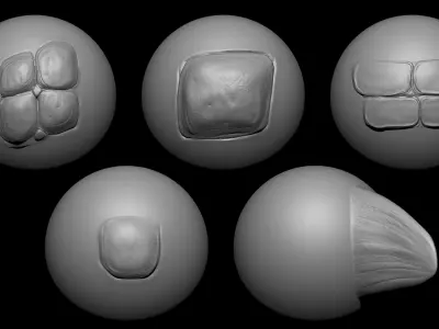 Zbrush - 15 Crocodile Scales and Hide VDM Brushes 3D model