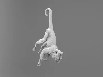 Monkey 3D model