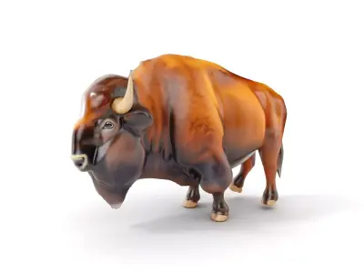 Majestic Bison D Model Pack for Wildlife Simulations Low-poly 3D model