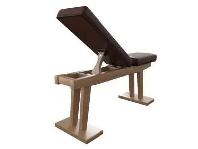 Dumbbell bench press with barbell 3D model