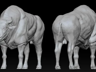 Bison Low-poly 3D model purchase
