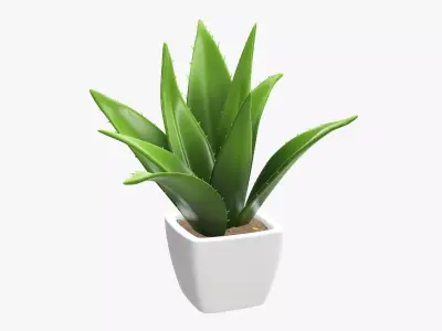 Cactus composition artificial 01 3D model