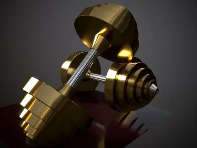 Dumbbells 3D model order