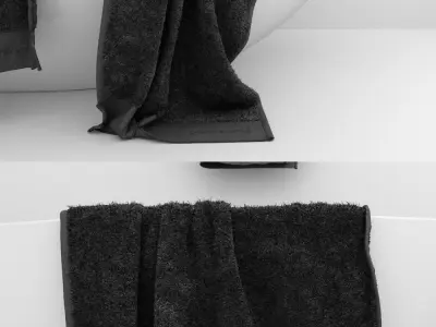 Country Road Towels and Meir Tapware 3D model