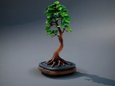 Elegant Bonsai Tree model pack Low-poly 3D model