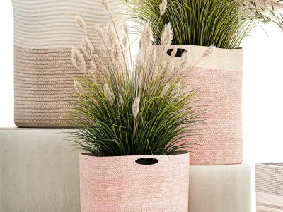 Ornamental plants in fabric baskets for decoration 1093 3D model