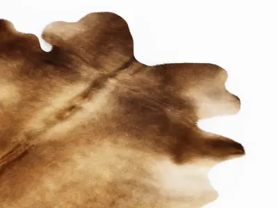 Cowhide Rug Brown 3D model