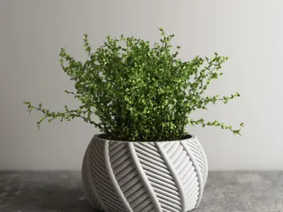 pot collection a13 5 pots