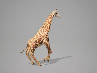Giraffe Animated UNREAL project  Maya base rig 3D model