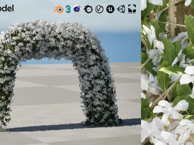 White Crepe Jasmine Arch 3D Asset Low-poly 3D model
