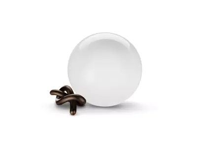 MOORGEN BOWKNOT SERIES Free 3D model
