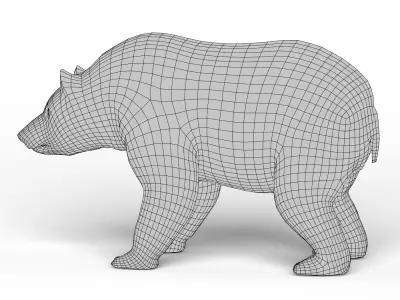 Bear Base Mesh Low-poly 3D model