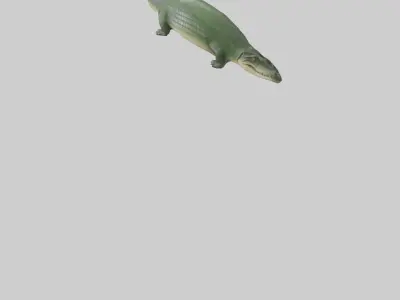 Crocodile Scales Model Low-poly 3D model