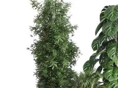 indoor plant set 312 longhi godwin pot bamboo monstera Low-poly 3D model