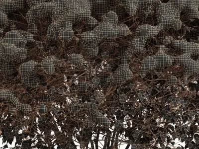 Dwarf Yaupon Holly Box Spherical Cone Winter Free 3D model