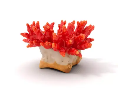 Vibrant Coral Reef model pack Low-poly 3D model