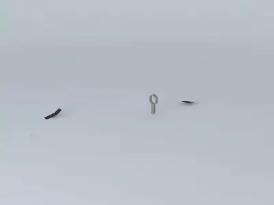 Racetrack Confusion In an Illusion Free 3D model