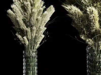 Dry Plants pampas Bouquet Indoor glass vase 3D model