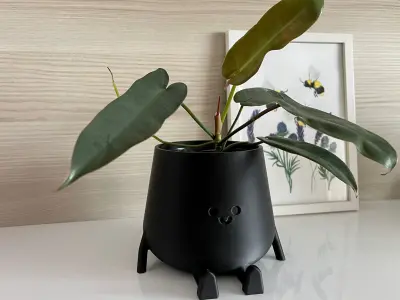 3D Printed Sitting Smiley Pot 3D print model