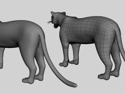 Leopard Model Low-poly 3D model