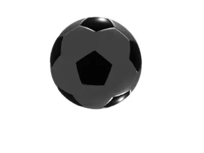 football captogi 3D model