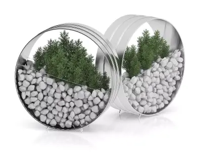 Two Plants in Round Metal Pots 3D model